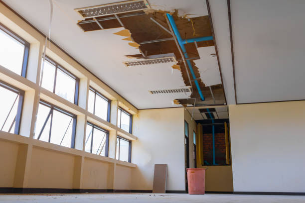 Best Basement water damage restoration  in Anderson, CA