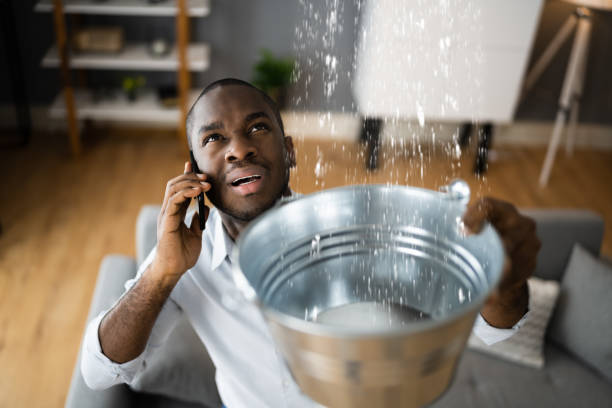 Best Professional water damage repair  in Anderson, CA