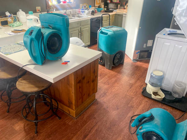 Best Water damage restoration near me  in Anderson, CA