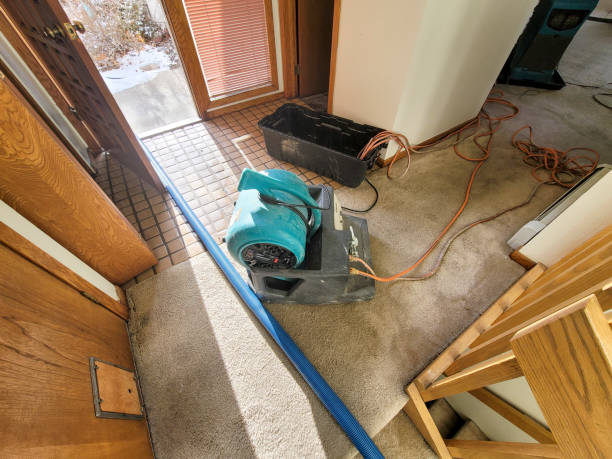 Best Water damage cleanup near me  in Anderson, CA