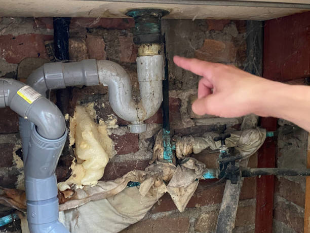 Best Mold removal after water damage  in Anderson, CA